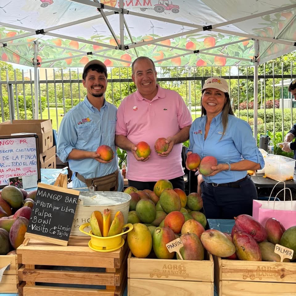 AgroMango PR — equipo con el Alcalde de Mayagüez en el Mango Bar del festival